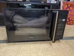 2025年製アイリスオーヤマ 電子レンジ 18L フラットテーブル グレー
