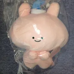 あさみみちゃん　ぬいぐるみ　一緒におひるね　いっしょ　お昼寝のサムネイル