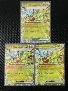 オーガポンみどりのめんex　RR　3枚セット MEGAドリーム　ポケモンカード