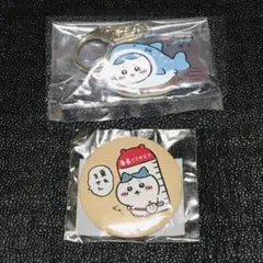 ジンベエザメ　乗れません　ハチワレ