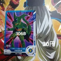 SDV5-029【セル】【在庫3】