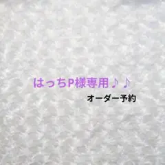 【専用】あみぐるみキーホルダー