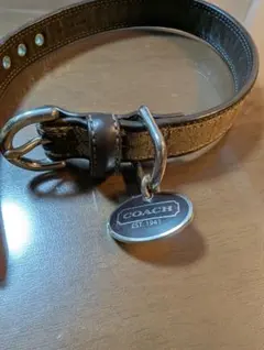 COACH 首輪 シグネチャー柄 ブラウン SMALLのサムネイル