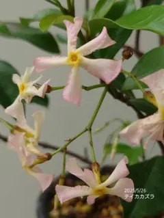 MM様 リクエスト 3点 まとめ商品