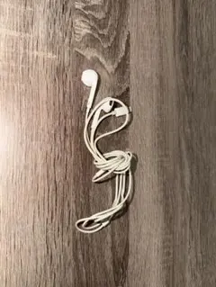 Apple EarPods Lightningコネクタ 本体