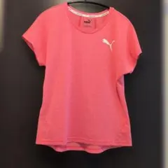 Puma ピンク ショートスリーブ トップスSサイズ