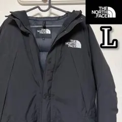 美品❗️ ノースフェイス　マウンテンダウンジャケット　ゴアテックス　L ダウン　黒