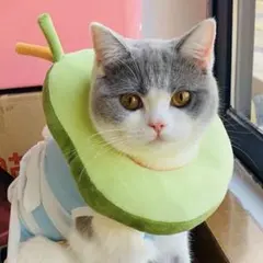 Item thumbnail for item 6b969e0d-5a3f-48d8-8963-973b1a5fd904