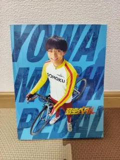 永瀬廉主演 映画 弱虫ペダル パンフレット 実写 King&Prince