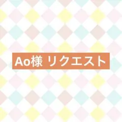 Ao様 リクエスト 3点 まとめ商品