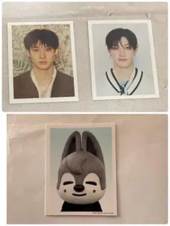 straykids バンチャン 証明写真 3枚セット