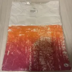 三浦大知　Tシャツ　まとめ買い