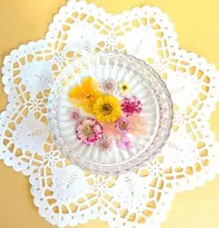固まるハーバリウム❁お花のデコレーション❁ガラス小皿③
