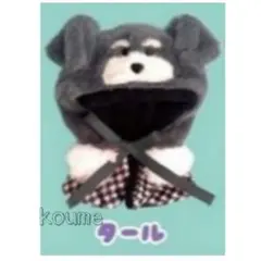 Item thumbnail for item 068f1d4b-302b-47ef-9f91-13e55a1be977