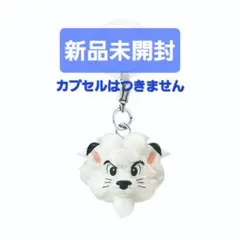 新品未開封　プロ野球マスコットめじるしアクセサリアクセサリー　レオ
