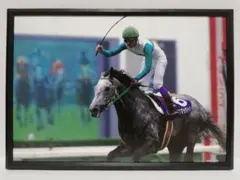 競馬 メジロマックイーン パネル GREEN CHANNEL 2000