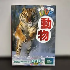 Item thumbnail for item 005ffb9f-291f-46f4-af4a-c7258ccf6945