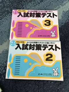 有名小学校入試対策テスト　ドリル　2,3
