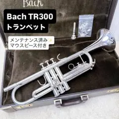 2026年最新】BACH TR 300の人気アイテム - メルカリ