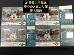 春秋限定サマーランド　プール　入園券4枚のサムネイル