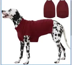 Item thumbnail for item 4d6fbdbe-47a2-4ce4-98bf-c168174ac4e5