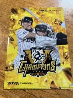 阪神タイガース 優勝記念クリアファイル 金本選手、大山選手