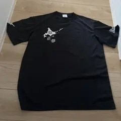 値下げ中 ミズノ スポーツ Tシャツ