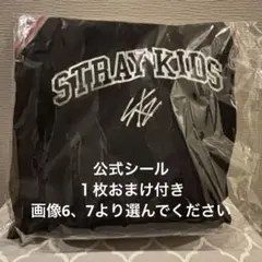 Stray Kids dominate エコパ 5/11アプグレ特典のサムネイル