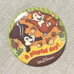 チップ　デール　ディズニー　缶バッジ　グッズ
