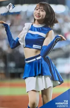 【新品タグ付】ファイターズガール コスプレ チアガール ◎ Amazon.co.jp: コスプレ衣装ファイターズガール コスプレ衣装