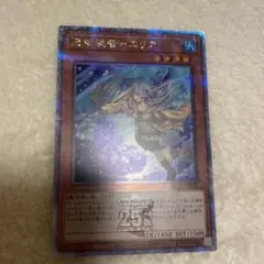 憑依装着エリア　25th