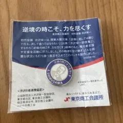レア✨新品✨未開封‼️渋沢栄一　ピンバッチ　送料無料‼️
