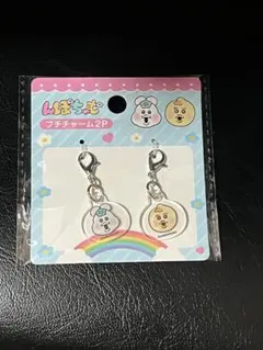 んぽちゃむ きみまろ プチチャーム めじるしアクセサリー