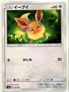 イーブイ SMI スターターセット 炎のブースターGX 水のシャワーズGX