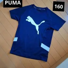 PUMA ネイビー 半袖Tシャツ　160 プーマ