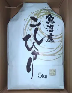 【超⭐︎メルカリ市限定！】7年産魚沼コシヒカリ 精米10kg 2026年最新】魚沼産コシヒカリの人気アイテム - メルカリ