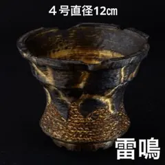 新作】雷鳴〜紫金〜 4号直径12㎝ 3dプリンター鉢 作家鉢 アガベ