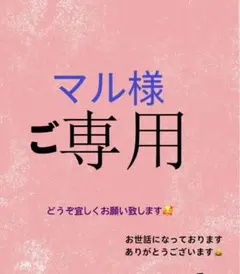 マル様 ご専用　值引70円　リクエスト 2点 まとめ商品