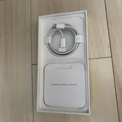 Apple Lightning to 1m
