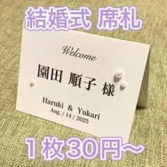 ごまちゃん様★上質紙パールなし73枚