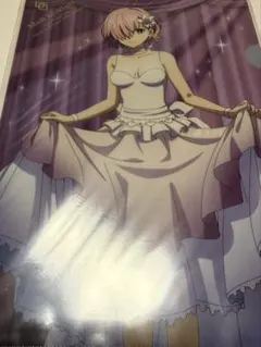 FGO マシュ　単品　クリアファイル　ローソン　Fate grand order