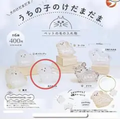 うちの子のけだまだま 犬 丸たれみみ