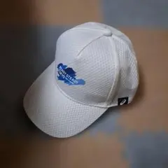 Item thumbnail for item e11160b0-cfcc-4ef1-8068-e0b82d4ac3d1