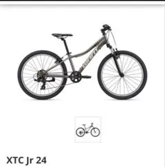 2026年最新】giant XTCの人気アイテム - メルカリ