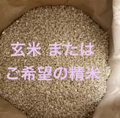 令和7年 新米 無洗ブレンド米 20kg - メルカリ