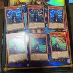 絢嵐 6枚セット