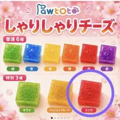 pawtoto 新作　ストレスボール　スクイーズ　海外スクイーズのサムネイル