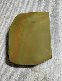 Fuxianhuia protensa 化石 フクシアンフイア 澄江動物群 - メルカリ