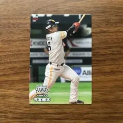 プロ野球チップス 2024 今宮健太