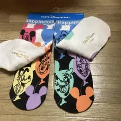 ディズニーリゾート　ソックス